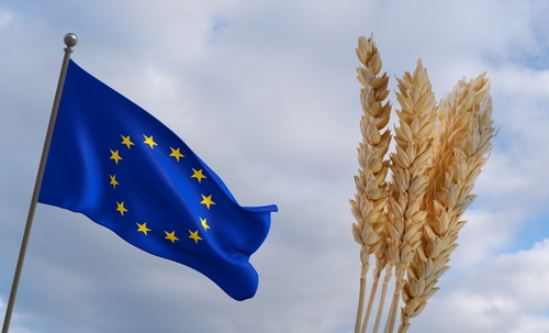 Agricoltura UE shutterstock 2181842037
