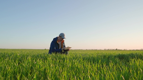 Agrifoodtech shutterstock 2578899661