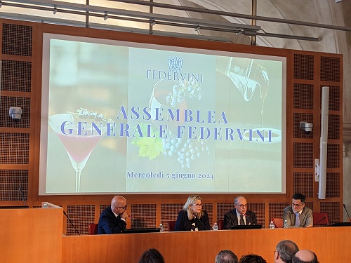 Assemblea Federvini2