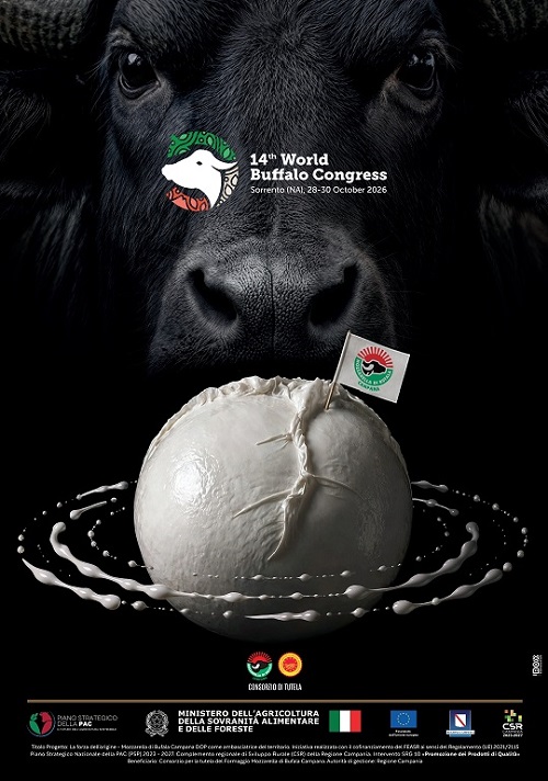 Bufala poster