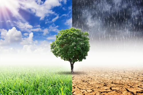 Cambiamento climatico shutterstock 524691637