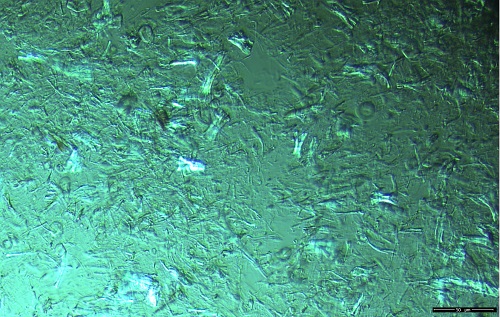 GSICA 1 Cellulosa