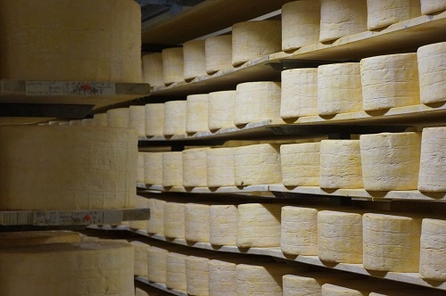 Gogonzola cellafreschi 1 1