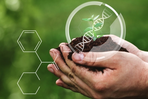 Lab shutterstock 2174270661