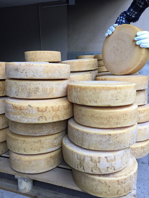 Marchiatura Formaggio Silter DOP 4