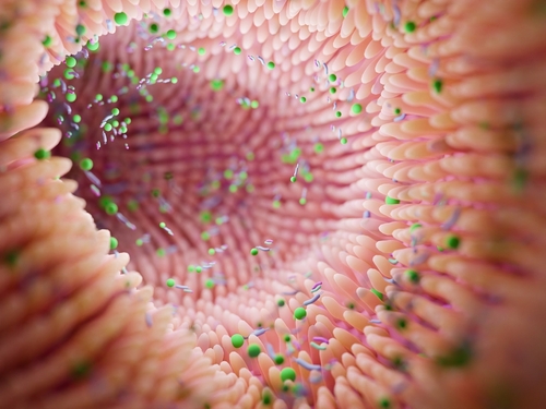 Microbiota shutterstock 2154325179