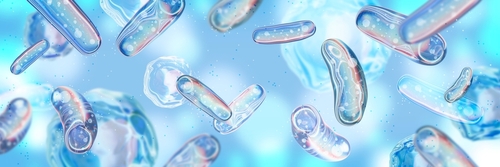 Microbiota shutterstock 2507877779
