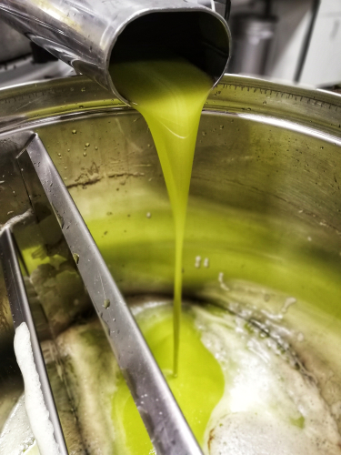 Olio lavorazione shutterstock 1548266492
