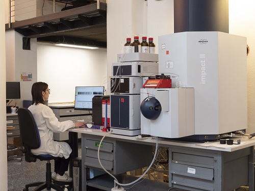 Photo: Yoshie Nishikawa