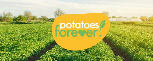 Patate potatoes screen