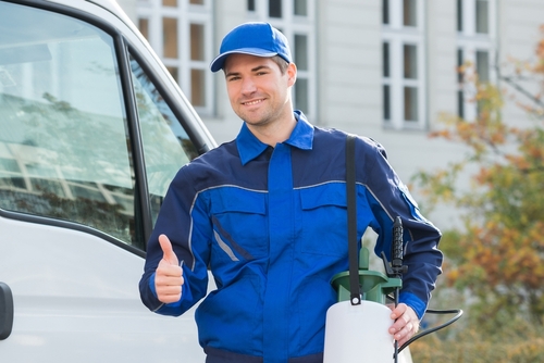 Pest Controller shutterstock 2353082039