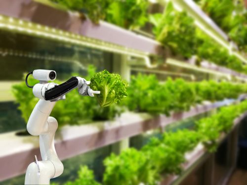 Robot industria alimentare shutterstock 1258961086