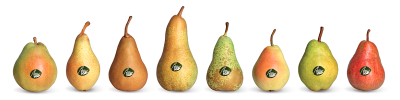 Slidepereemilairomagna IGP