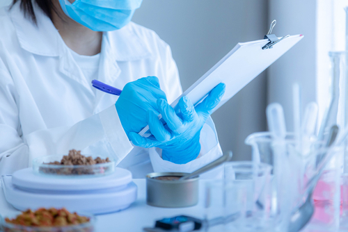 Tecnologo shutterstock 1983006140