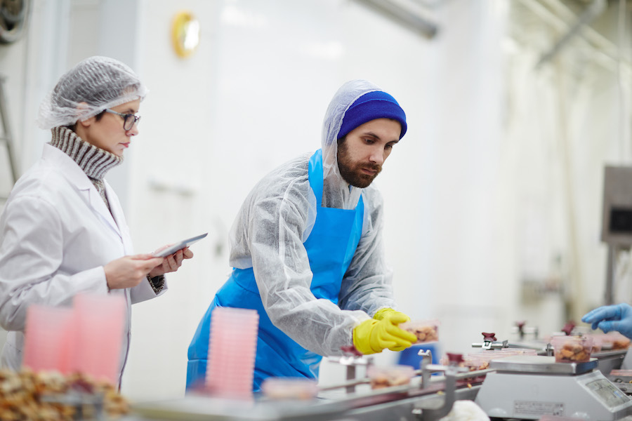 Control staff in uniform checking weight and quality of seafood during processing