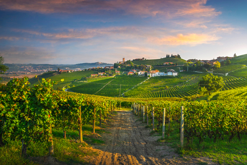 Vigneti Italia shutterstock 1901659984