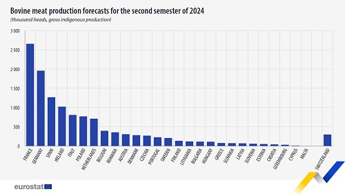 bovine meat production 2024