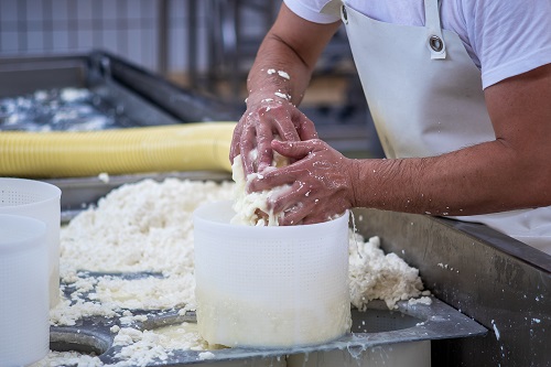 fase di formatura fonte Consorzio di tutela