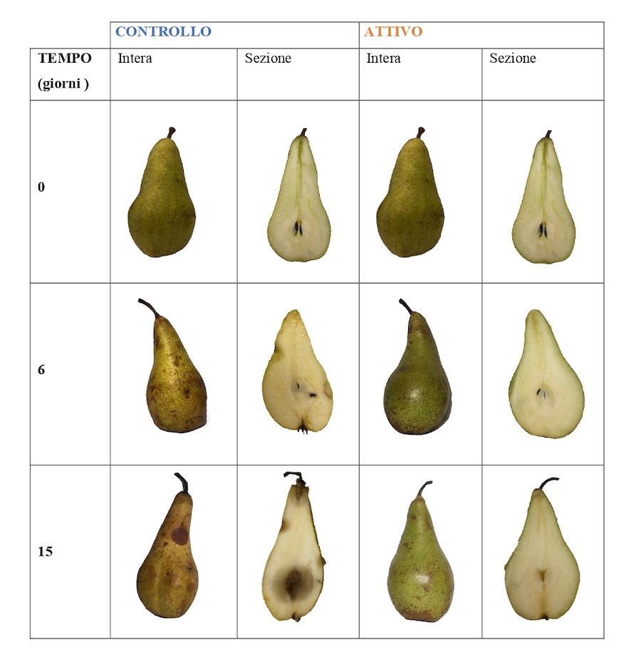 figura 1 gsica