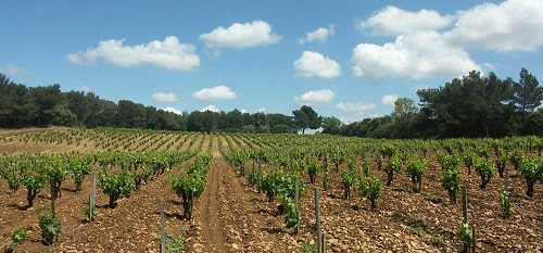 home origin chateauneuf