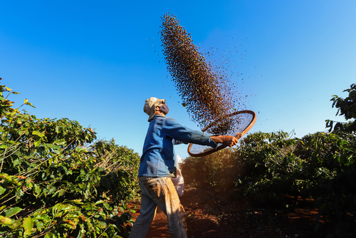 lavoratore caffèshutterstock 2013997418