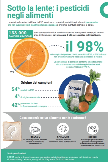 pesticides in food IT final