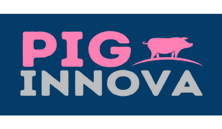 pig innova