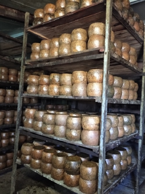presidio slow food