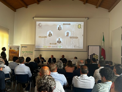 sala 3