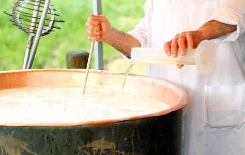 shutterstock 261545234