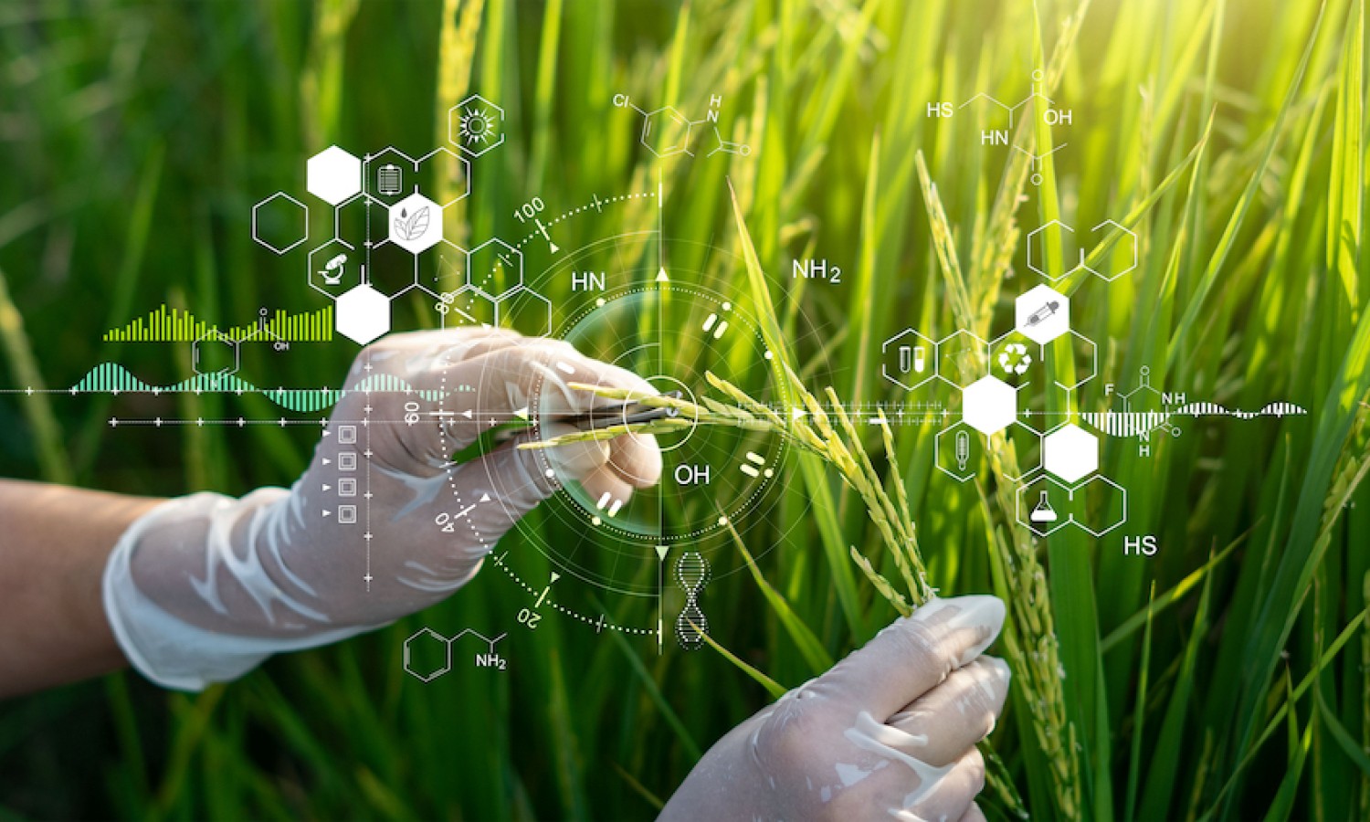 TEA e OGM, la filiera chiede una legislazione ad hoc