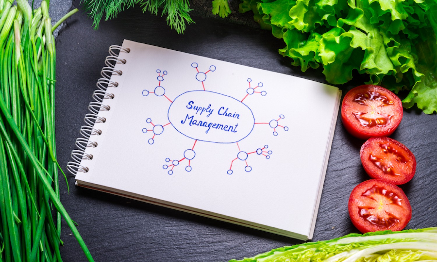 Dalla food chain alla food system economy