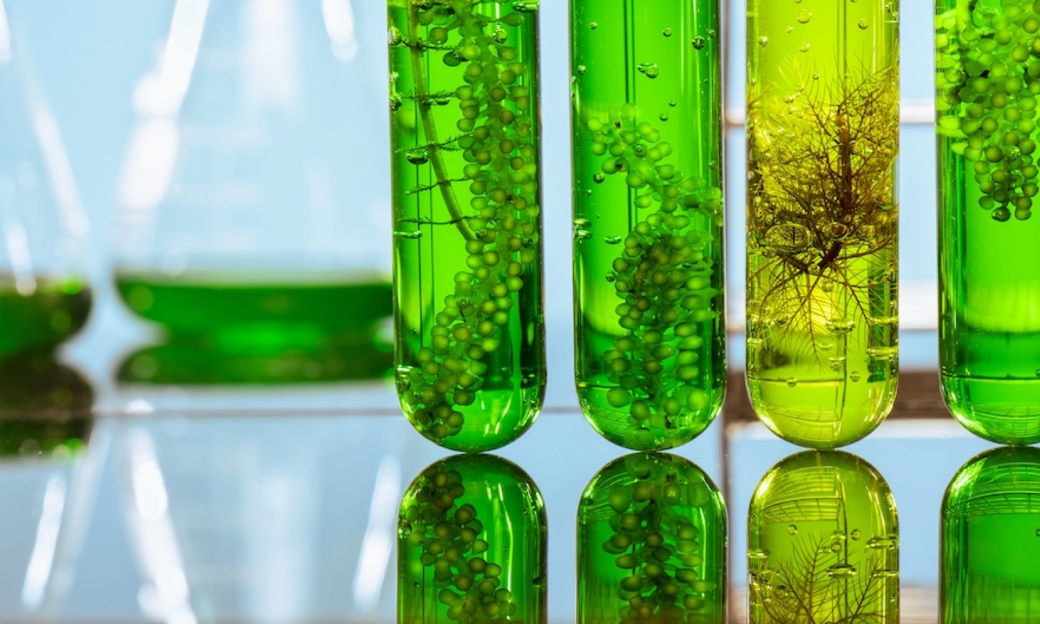 L’insostenibile leggerezza delle scelte alimentari