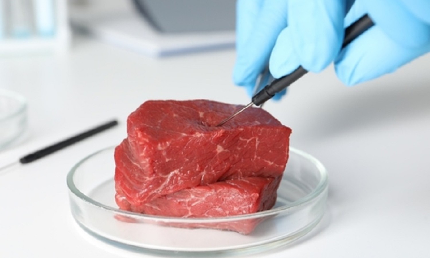 Alimenti da colture cellulari: EFSA pronta alla valutazione scientifica
