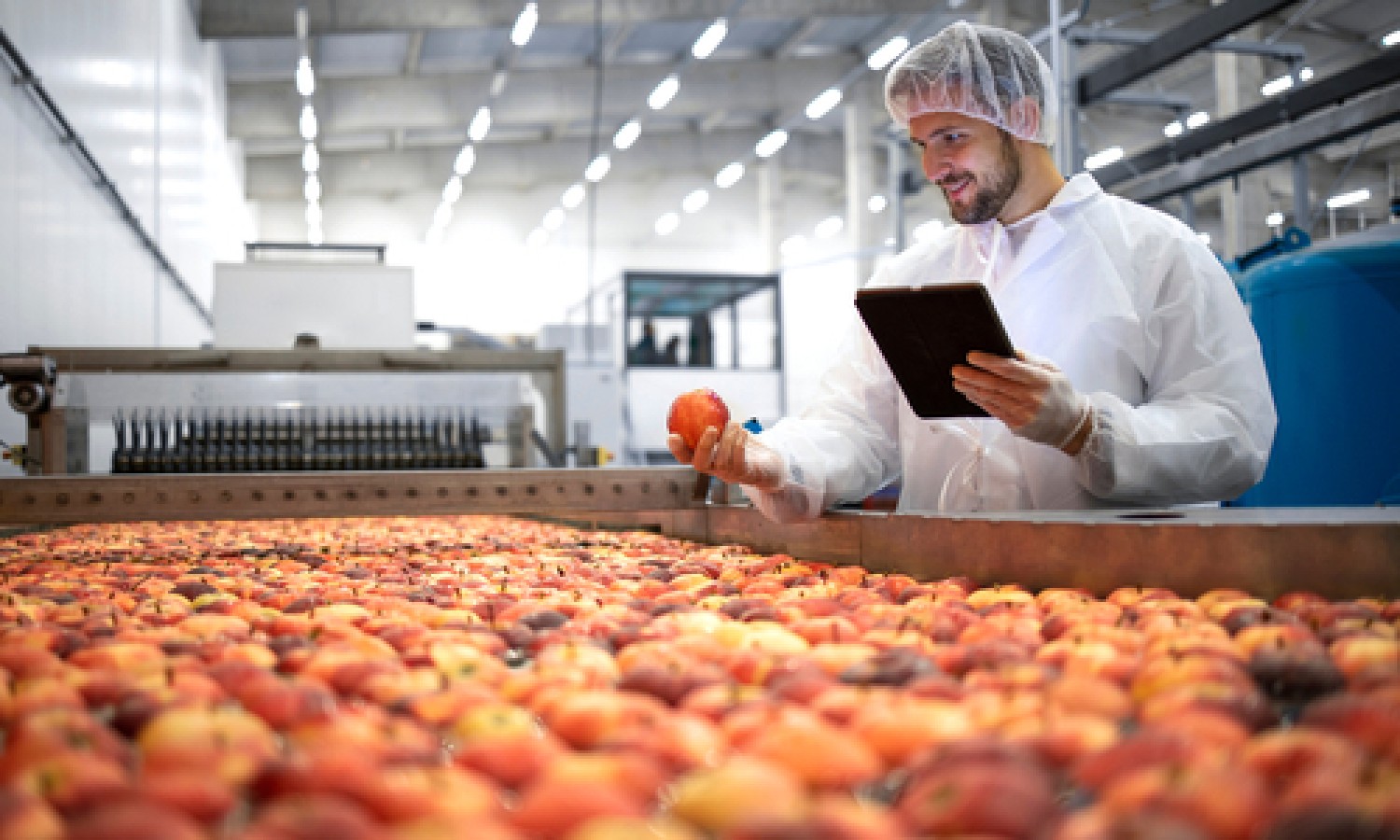 Tecnologi Alimentari, un percorso di crescita ben avviato