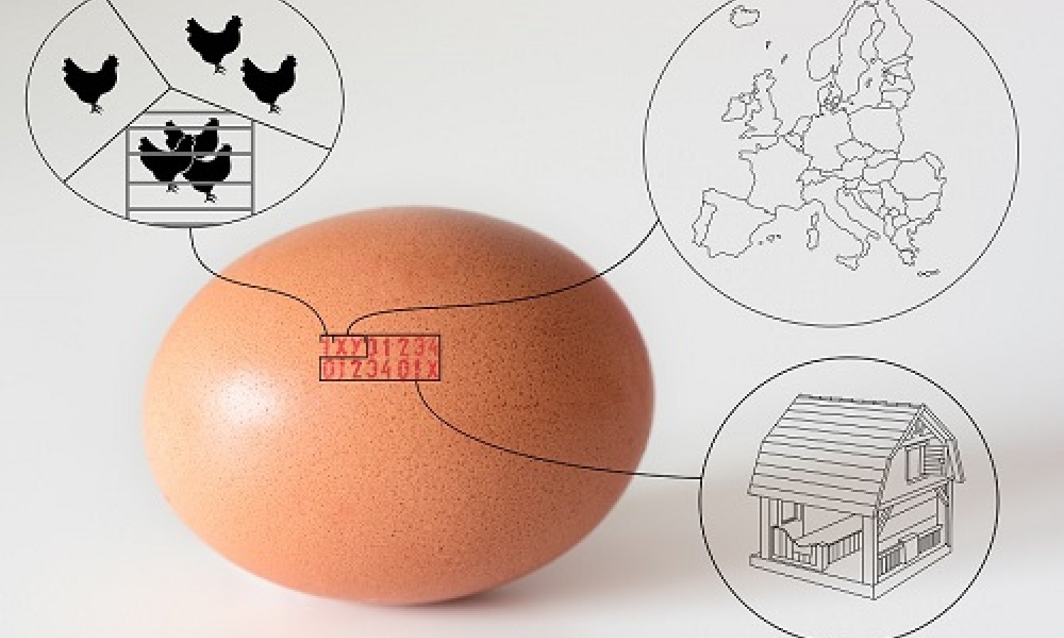 La normativa COOL nella filiera alimentare