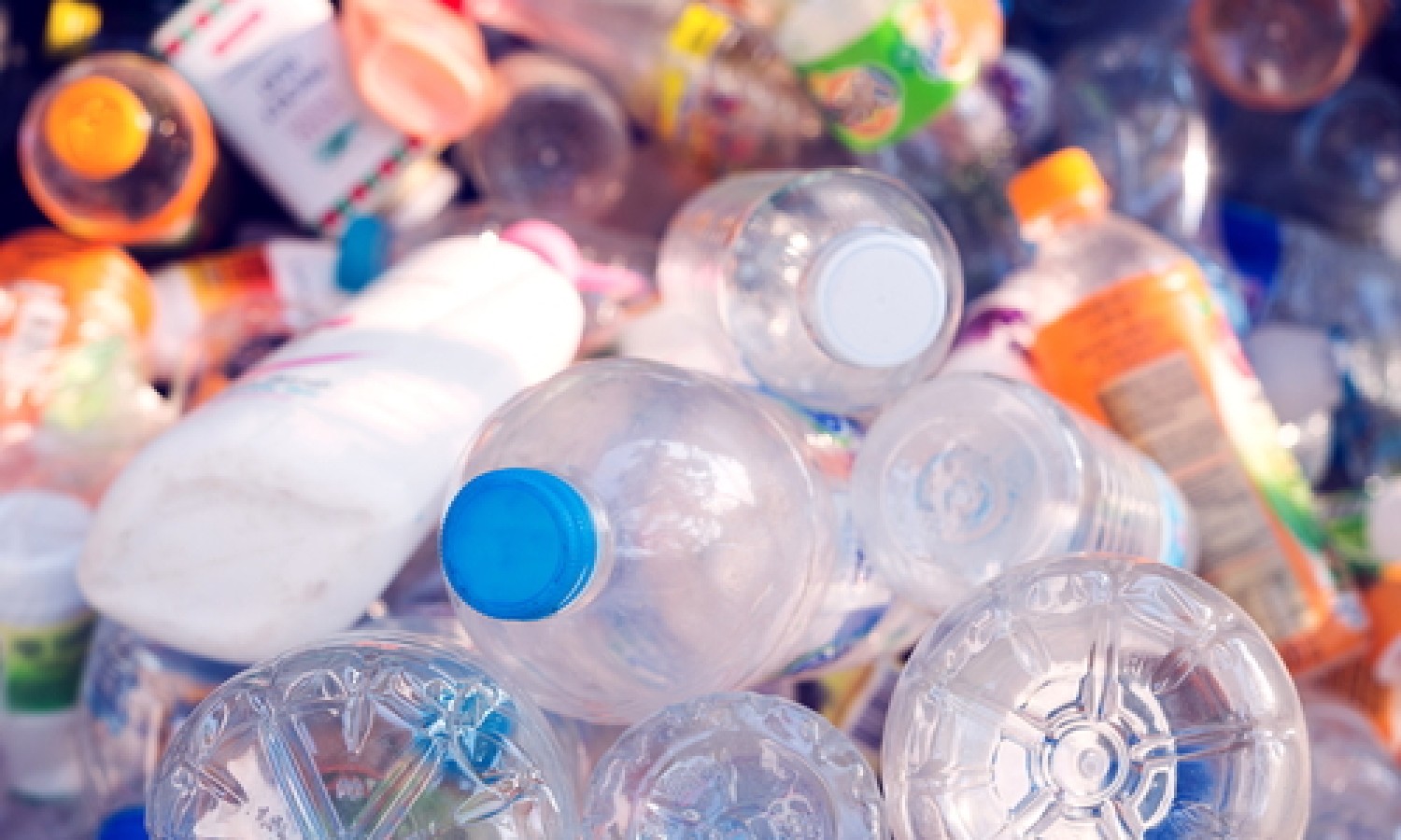 In arrivo il divieto di bisfenolo A nei contenitori per alimenti