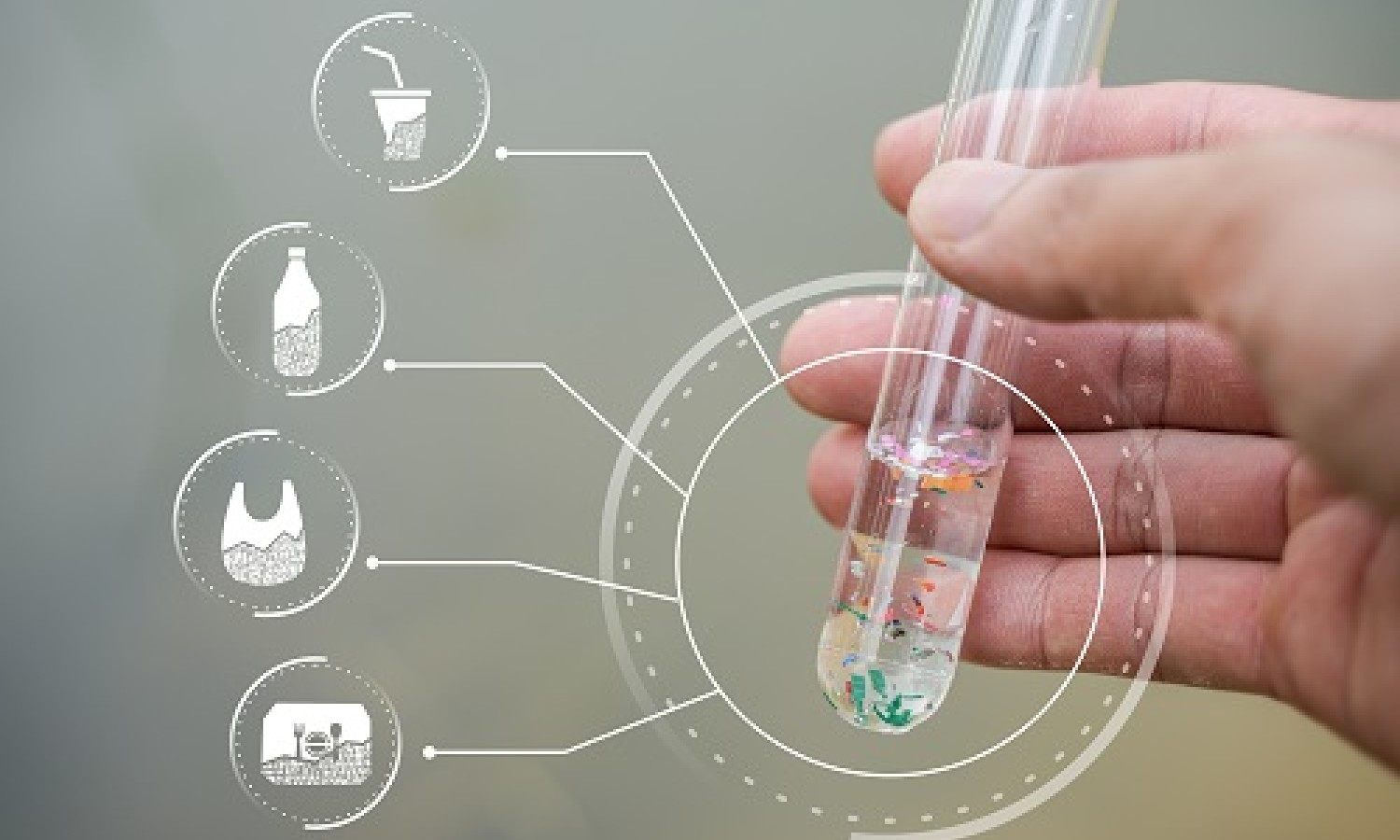 Microplastiche nei pesci d’acqua dolce: i dati 