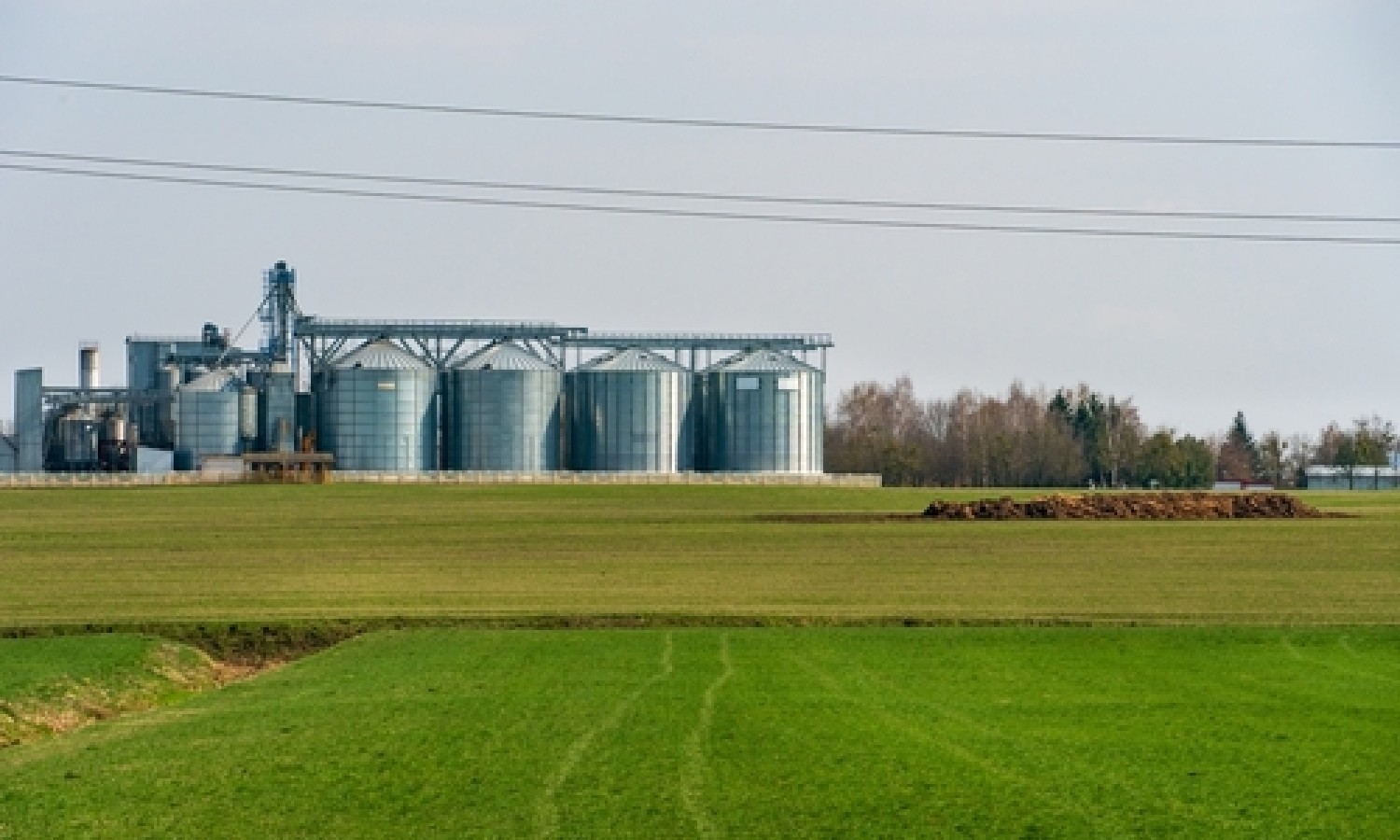 Nasce la Federazione della prima trasformazione alimentare