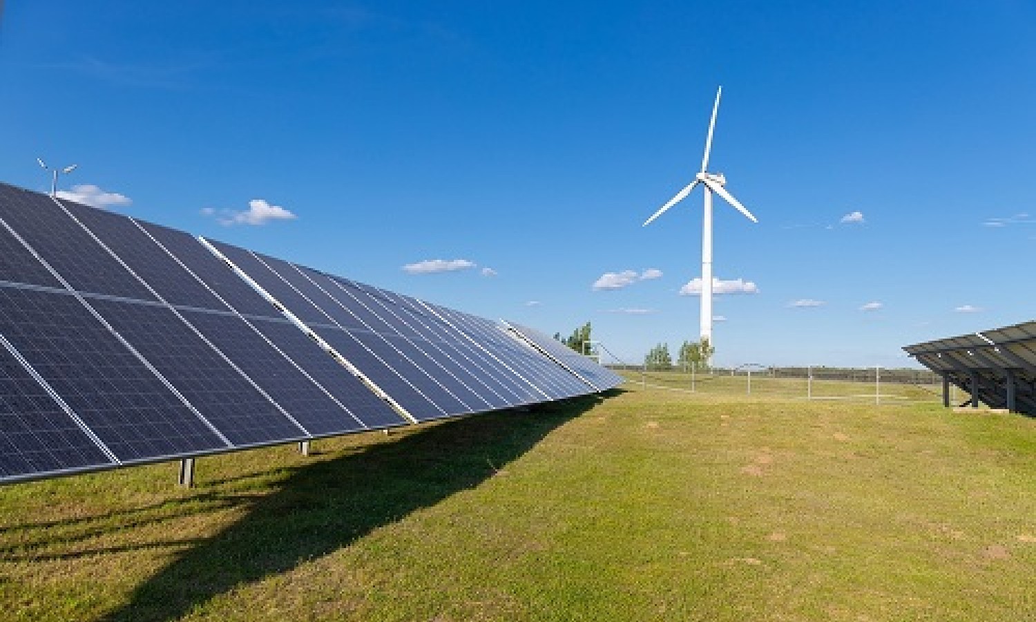 Transizione green, contributi alle imprese per la sfida al cambiamento climatico