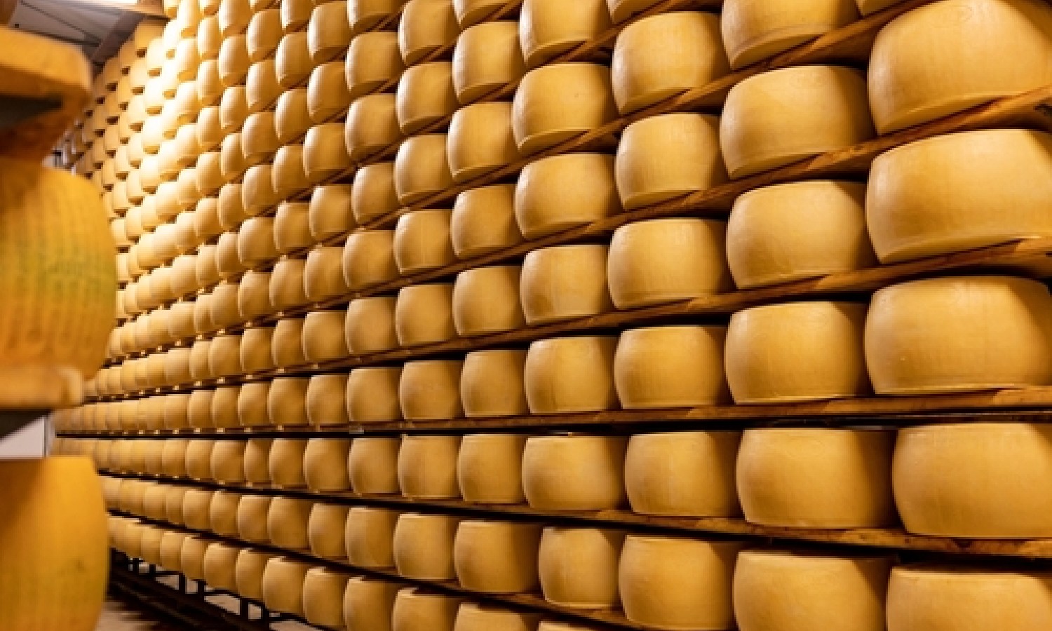 La misura della granulosità del formaggio