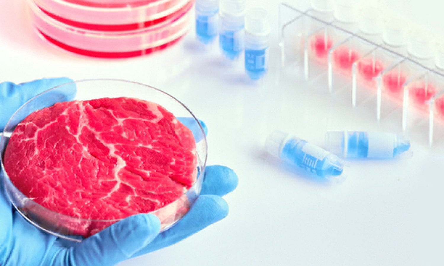 Carne coltivata, il no dell’Italia. E ora?