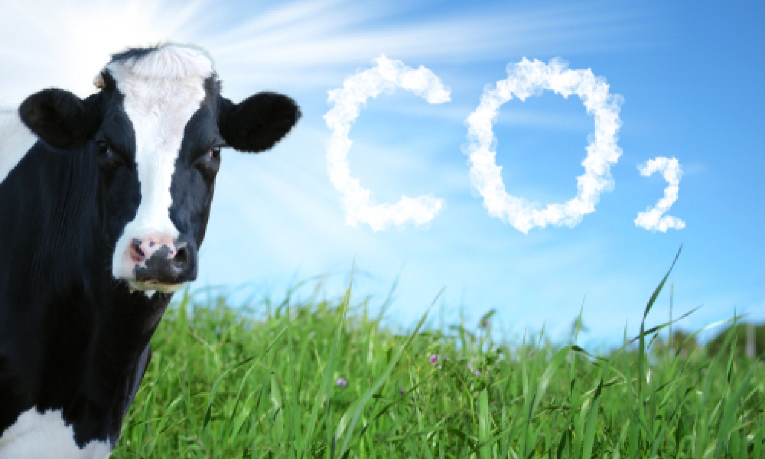 Il lattiero-caseario verso il Net-Zero