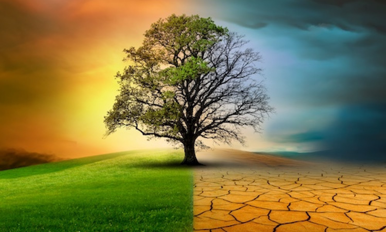 Giornata della Terra, preoccupazione per il clima in aumento