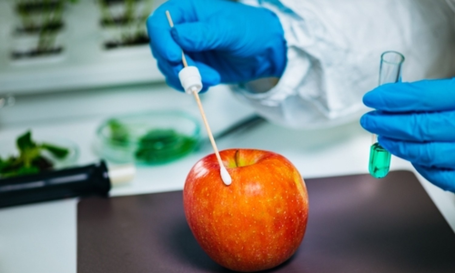 Bassi residui di pesticidi negli alimenti UE