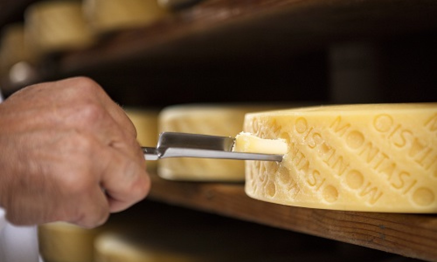Il Montasio DOP punta su tradizione, sicurezza e ricerca 