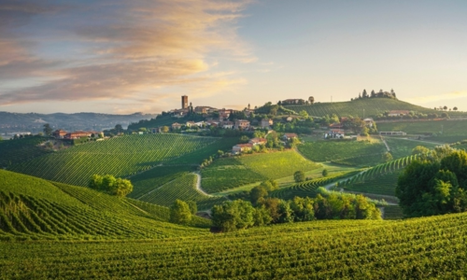 Vino, 98 milioni per l'export vitivinicolo extra UE