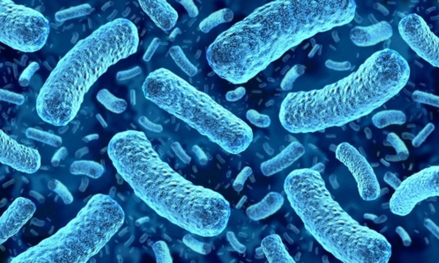 Record di infezioni da STEC e Listeria