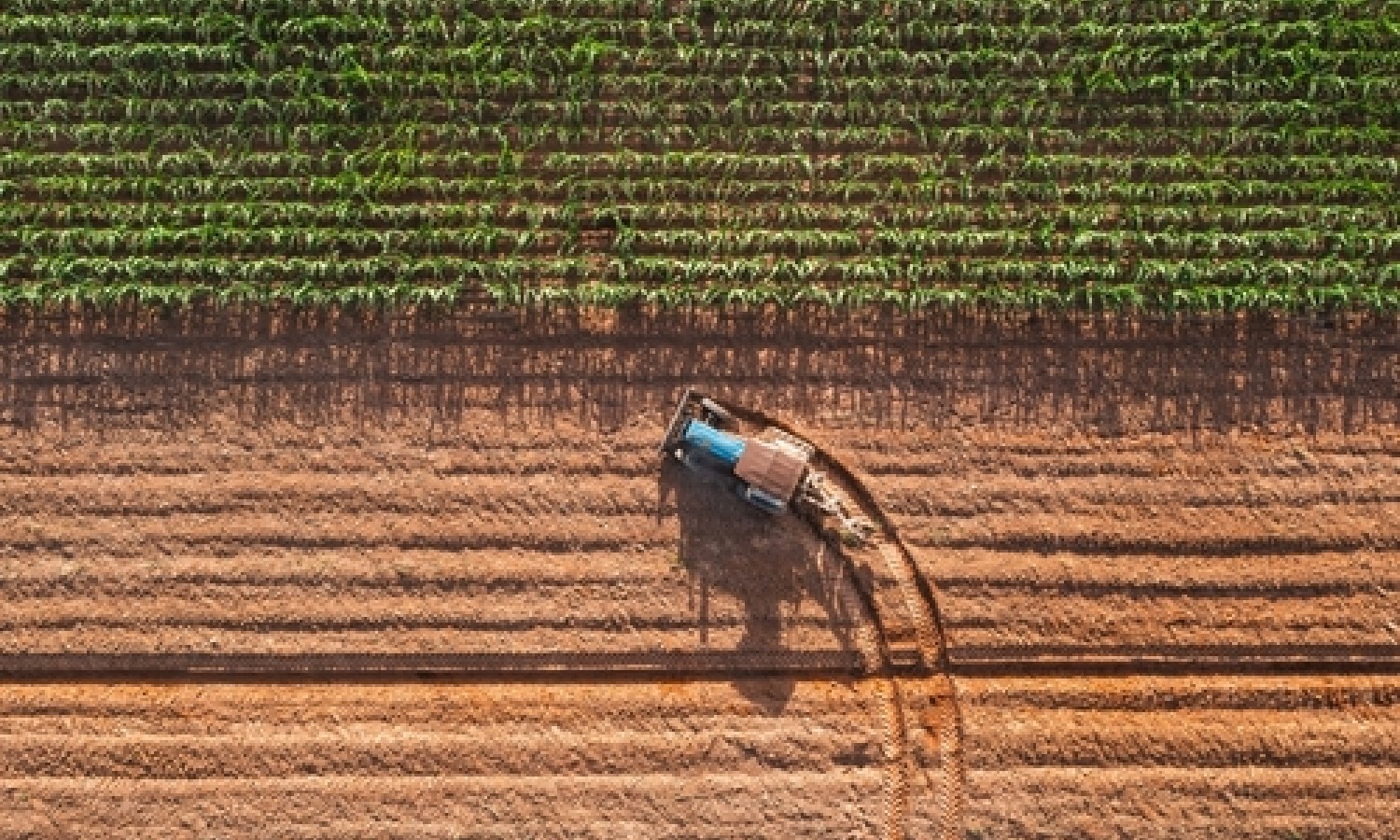 Agroalimentare, un settore vincente