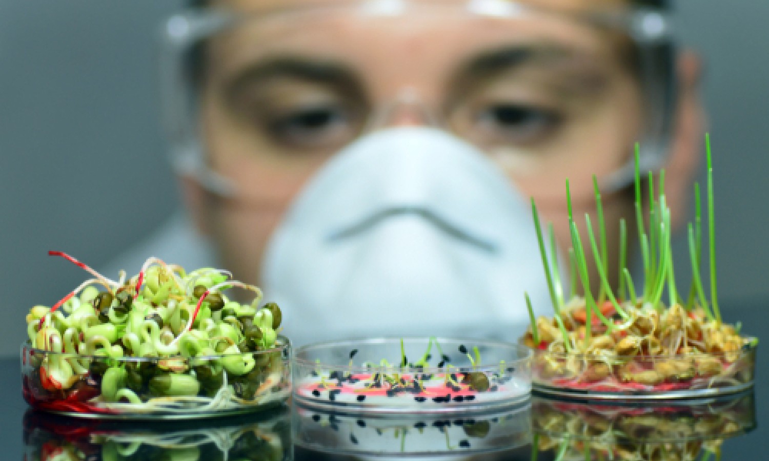 Chiarezza sulle nuove tecniche genomiche